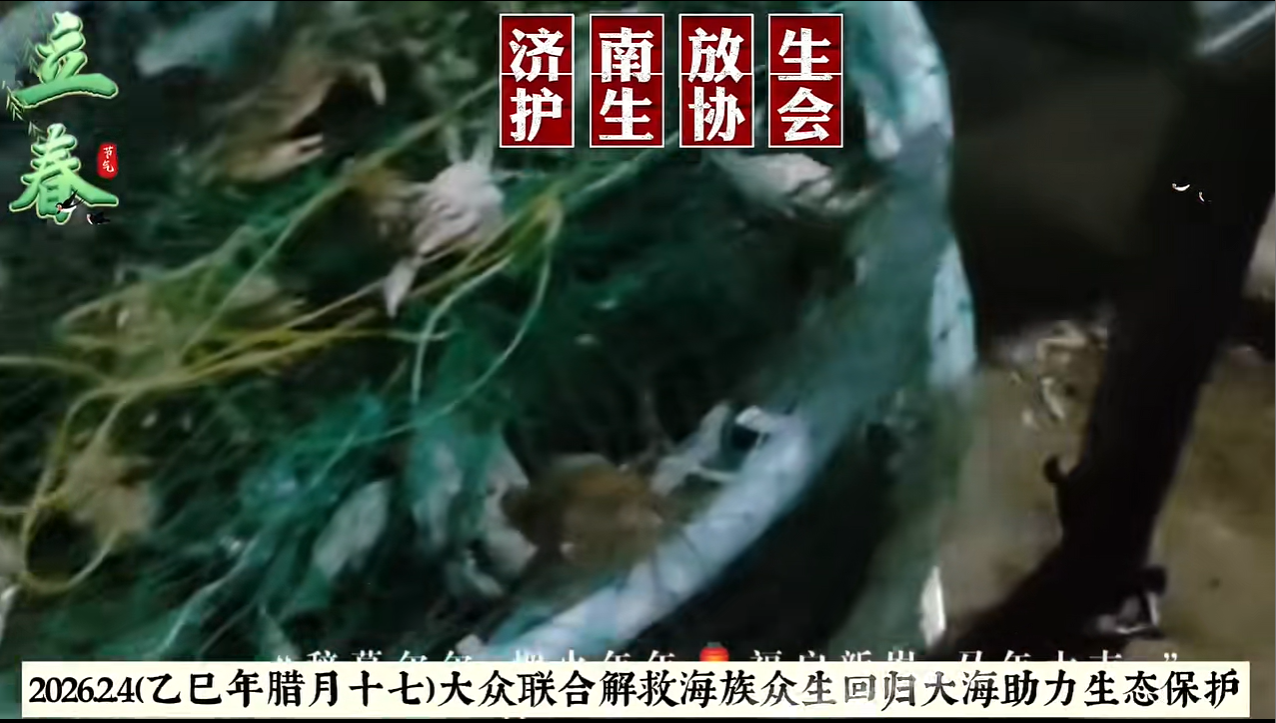 大众联合救援海族