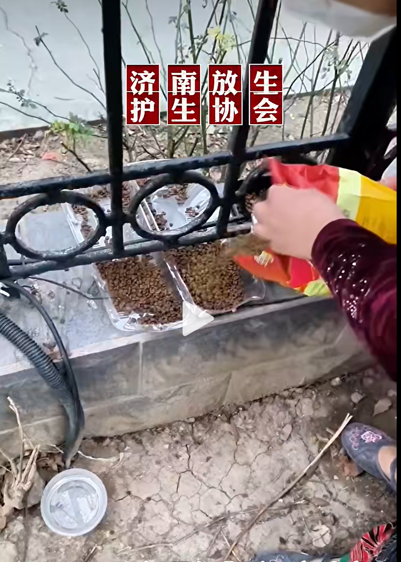 冬天里动物们的一缕暖阳