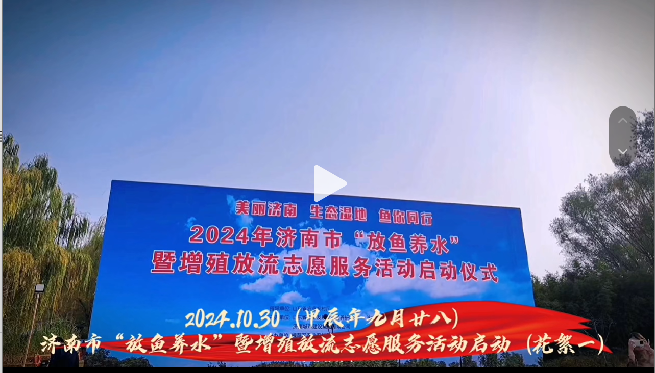 济南市“放鱼养水”志愿服务活动圆满成功