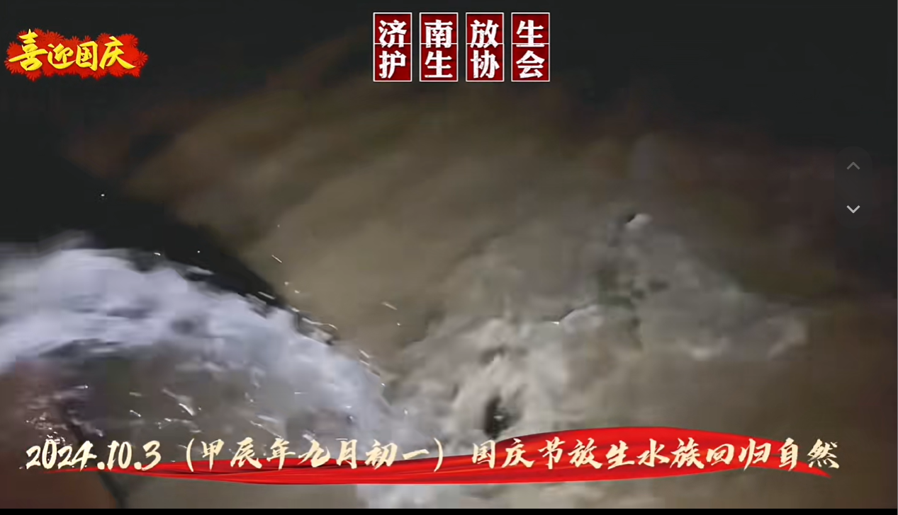 国庆节放生，祝福祖国生日快乐繁荣昌盛