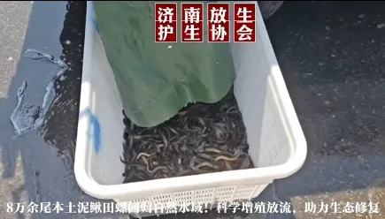 2026年9月6日组织开展本土水生生物增殖放流活动