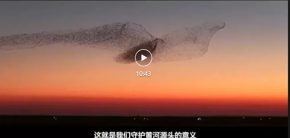 守了39年黄河源，他第一次去看黄河入海