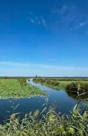 济宁：湖畔渔村“洗了把脸”，孔子故里“换了身衣