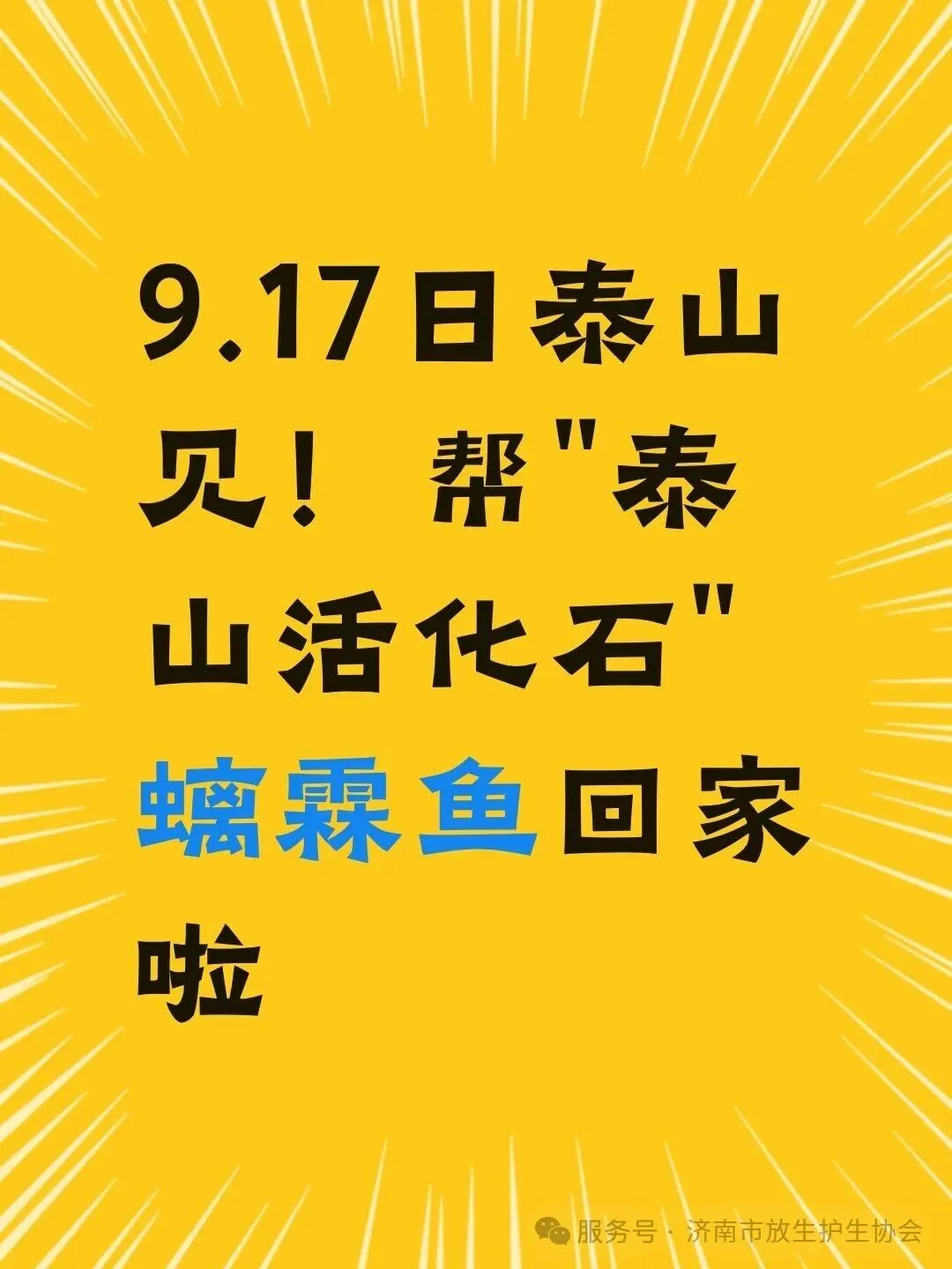 9.17日泰山见！帮“泰山活化石”螭霖鱼回家