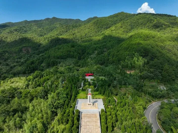 26年前，习近平托人送来1000元，为这里捐种了一棵香樟树